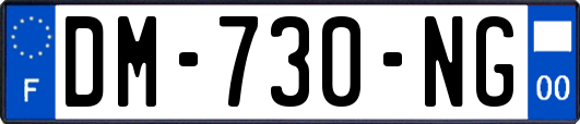 DM-730-NG