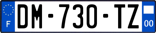 DM-730-TZ