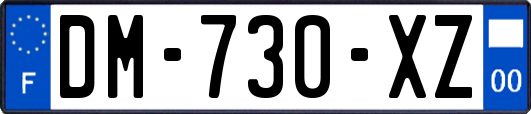 DM-730-XZ