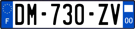 DM-730-ZV