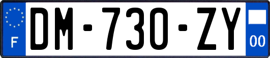 DM-730-ZY