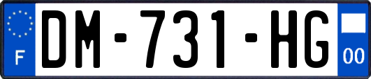 DM-731-HG