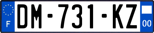 DM-731-KZ