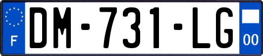 DM-731-LG