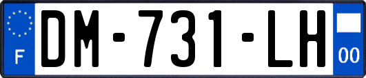 DM-731-LH