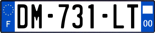 DM-731-LT