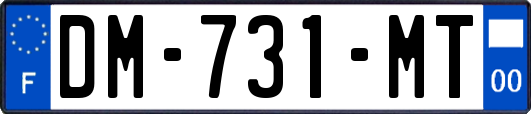 DM-731-MT
