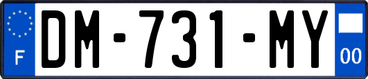 DM-731-MY