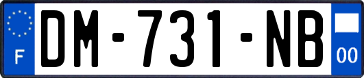DM-731-NB