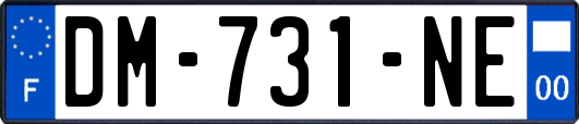 DM-731-NE