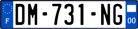 DM-731-NG