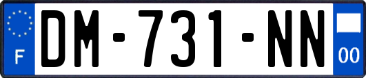 DM-731-NN
