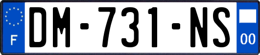 DM-731-NS