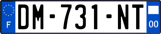 DM-731-NT