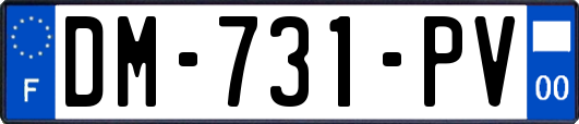DM-731-PV