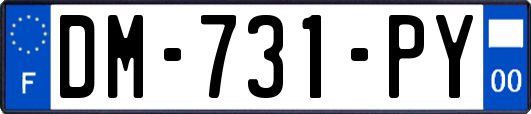 DM-731-PY