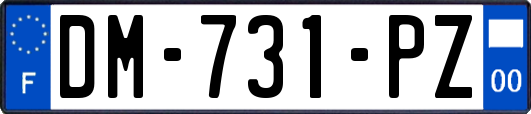 DM-731-PZ