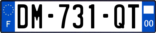 DM-731-QT