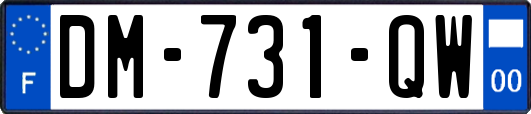 DM-731-QW