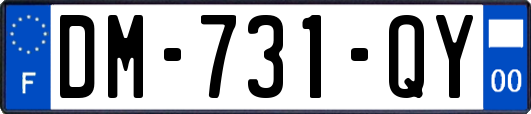 DM-731-QY