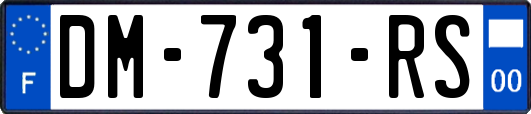 DM-731-RS