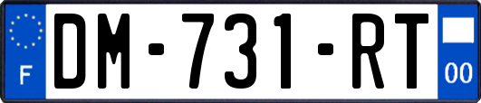 DM-731-RT