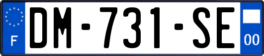 DM-731-SE