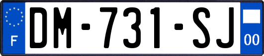 DM-731-SJ