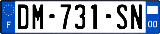 DM-731-SN