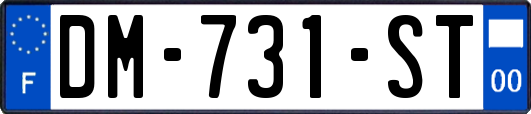 DM-731-ST