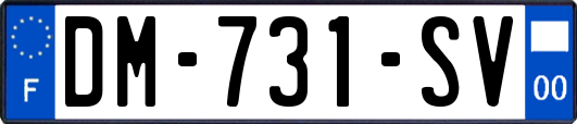 DM-731-SV