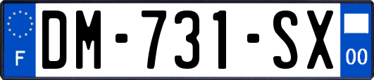 DM-731-SX