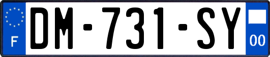 DM-731-SY