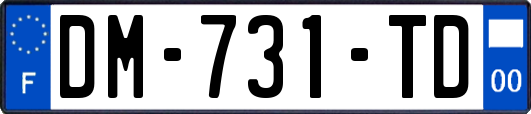 DM-731-TD