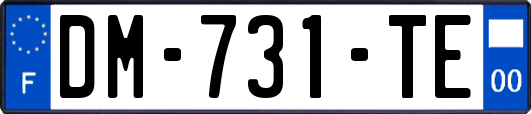 DM-731-TE