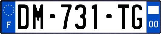 DM-731-TG