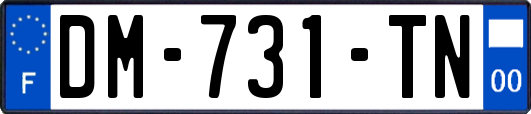 DM-731-TN