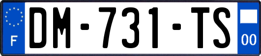 DM-731-TS