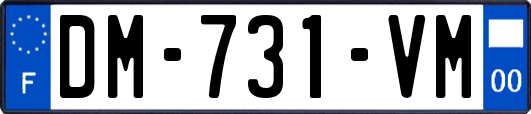 DM-731-VM