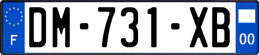 DM-731-XB