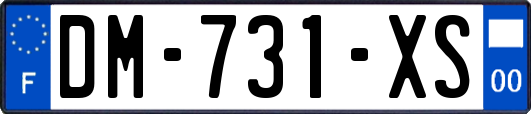 DM-731-XS