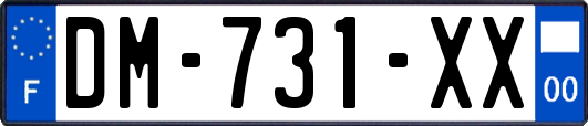 DM-731-XX