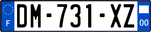 DM-731-XZ