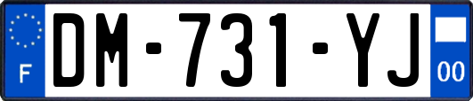 DM-731-YJ