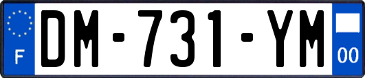 DM-731-YM