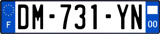 DM-731-YN