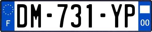 DM-731-YP