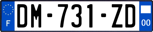 DM-731-ZD