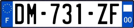 DM-731-ZF