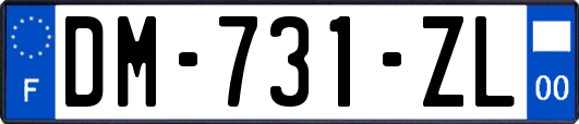 DM-731-ZL